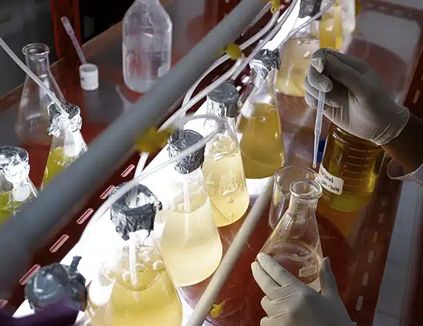 Beakers filled with various liquids