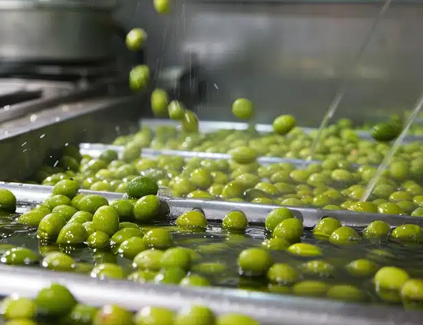 Green sphere's being cleaned in water