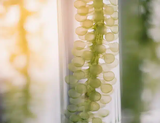 Protein Concentration and Fractionation