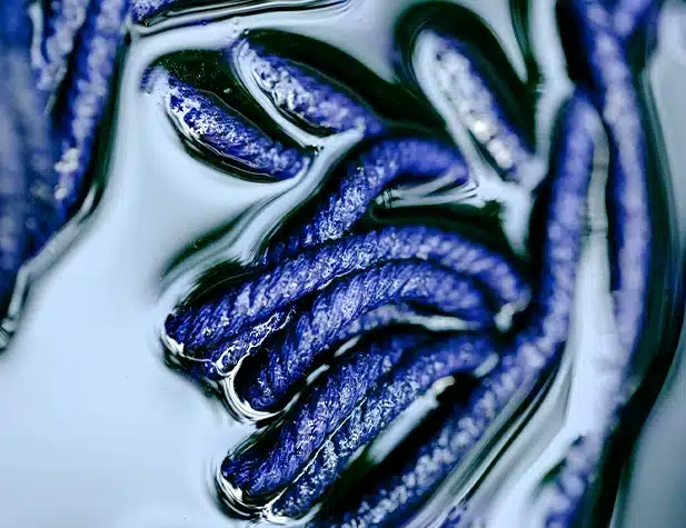 Purple rope submerged in water